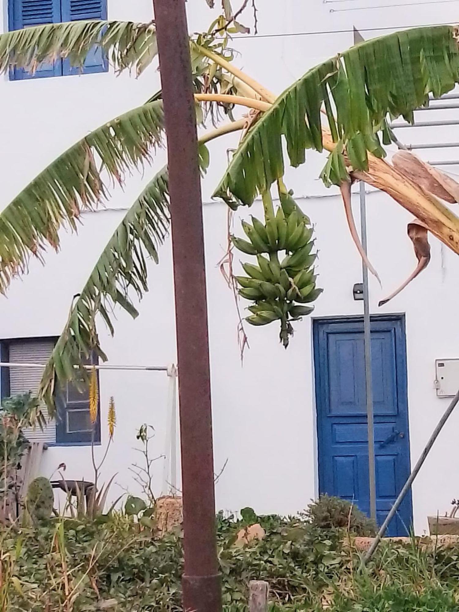 Casa Rural Mary San Miguel de Abona Eksteriør billede